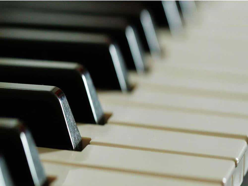 Waltons digital piano new arrivals
