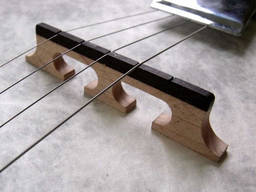 best 5 string banjo for beginners