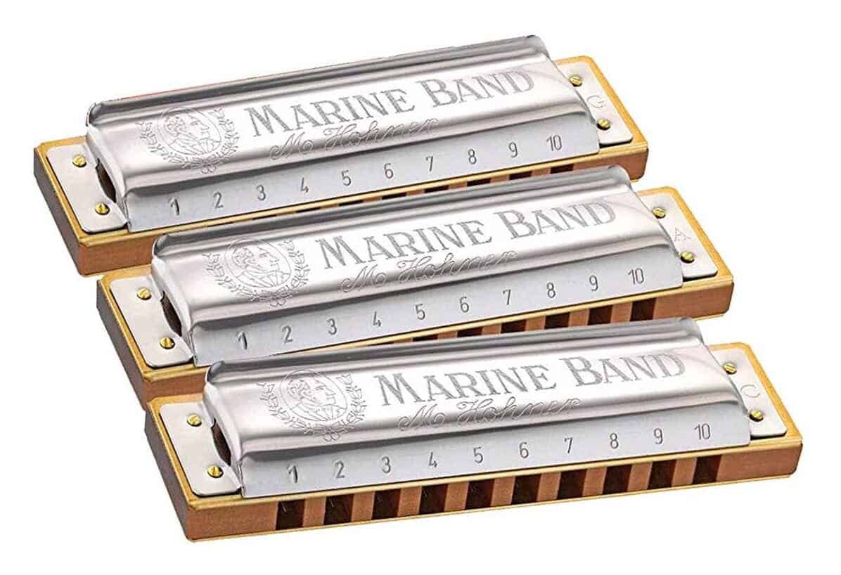 Beginners Harmonica Course • Waltons New School of Music